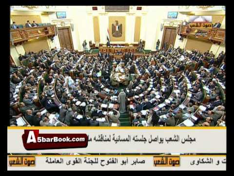 نائبة تشكر الكتاتنى على إعطائه الفرصة للسيدات