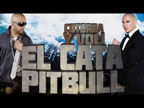 EL CATA & PITBULL – Cotorra Y Voli (Official Web Clip)