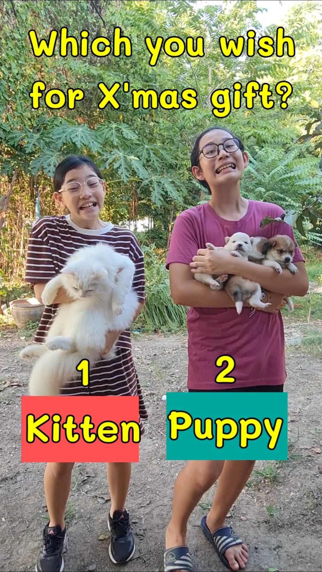 Puppy OR Kitten For X'mas Gift‼️ Choose? Funny | JJaiPan #shorts