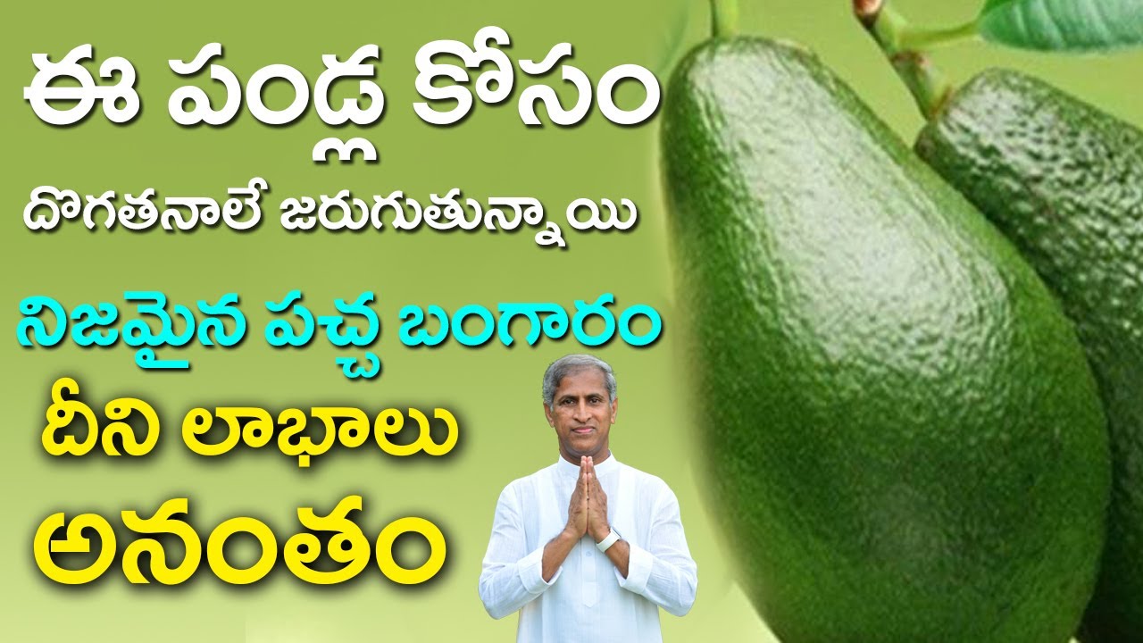 Amazing Benefits for Your Health | Avocado Fruits Benefits | Dr Manthena Satyanarayana Raju Videos