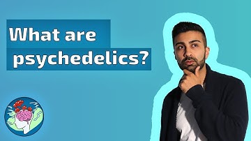 What are psychedelics? | The latest scientific perspectives