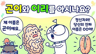 곤이와 이리는 어떤 차이가 있나요?