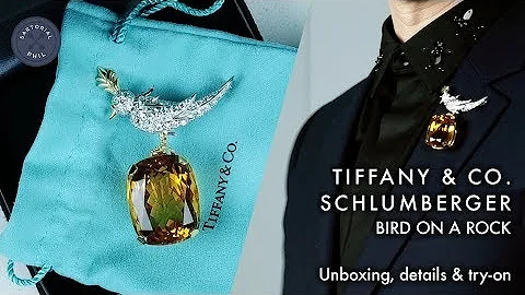 Tiffany & Co. Schlumberger Bird on a Rock  Men's J...