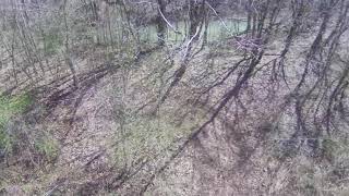 Burkesville KY