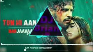 DJ.BRIAN.JOGET_INDIA_TERBARU_2024.TUM_HI_AANA_BY_SANDY_LATIEF