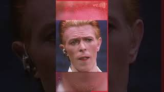 Bowie's Gives A Breakdown Masterclass #Shorts
