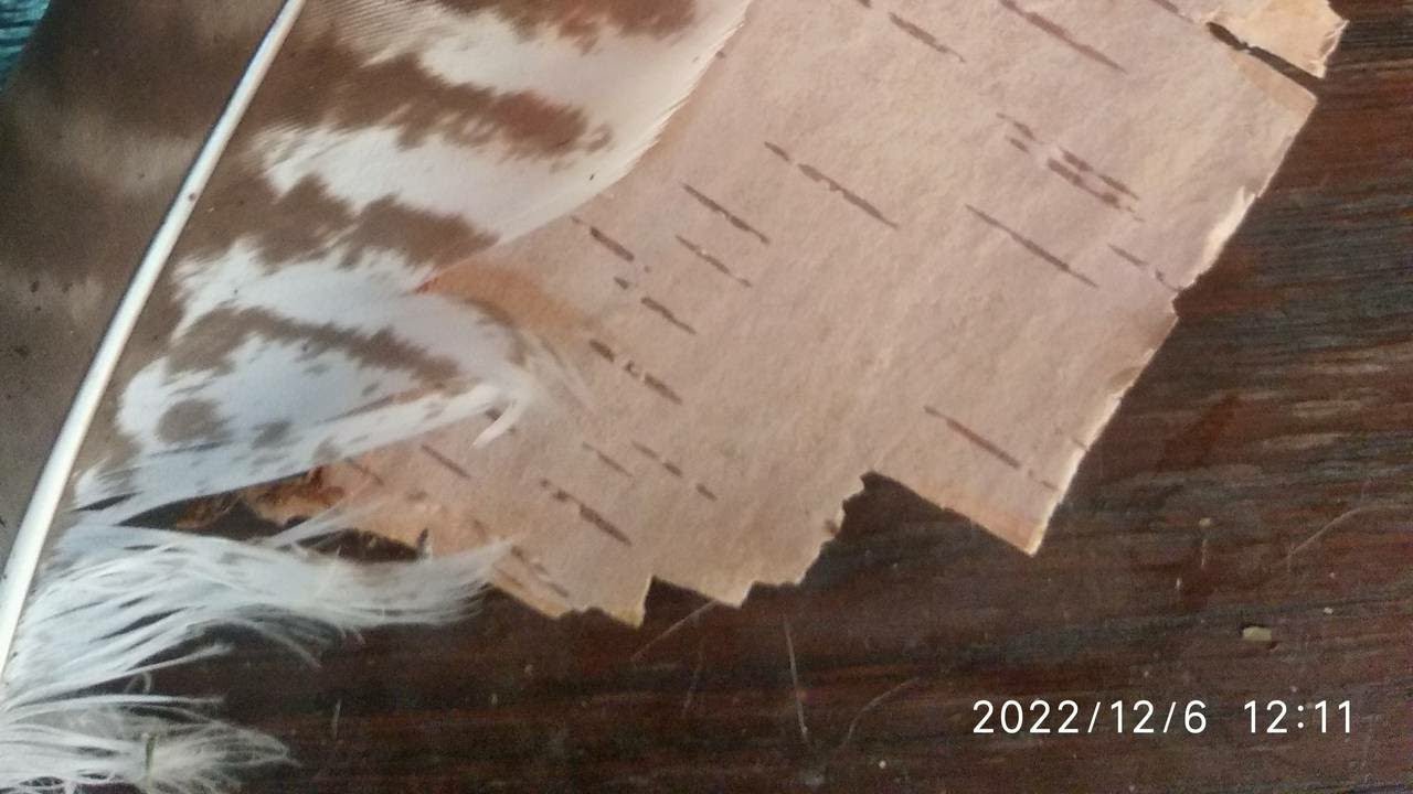 Что написано пером, не вырубишь топором - YouTube