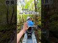 ぜんぶ予約なしで巡れた、洞川温泉1日旅🔥