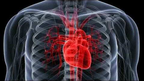 Heartbeat Could Be Used as Password to Access Electronic Health Records