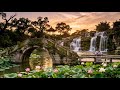 Enchanting Ancient Chinese Music | Peaceful Nature Sounds