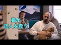 刑務所で猫飼育が許可され、何百人もの囚人が救われた|実話