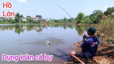 Câu cá lóc_Hành trình săn hàng Hugo (p3) @Hữunghị tv