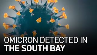Santa Clara County Reports First Omicron Variant Case