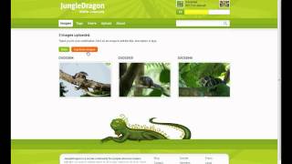 JungleDragon Multi Upload Demo