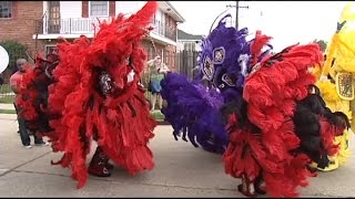 Mardi Gras Indians bring colorful history to New Orleans