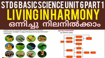 Std 6 Basic Science Unit 6 |Living In Harmony Part 1|Eco System|Kite Victers Worksheet|Shamla Mol