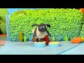 Timmy Time Season 1 Episode 2 - Timmys Hiccup Cure