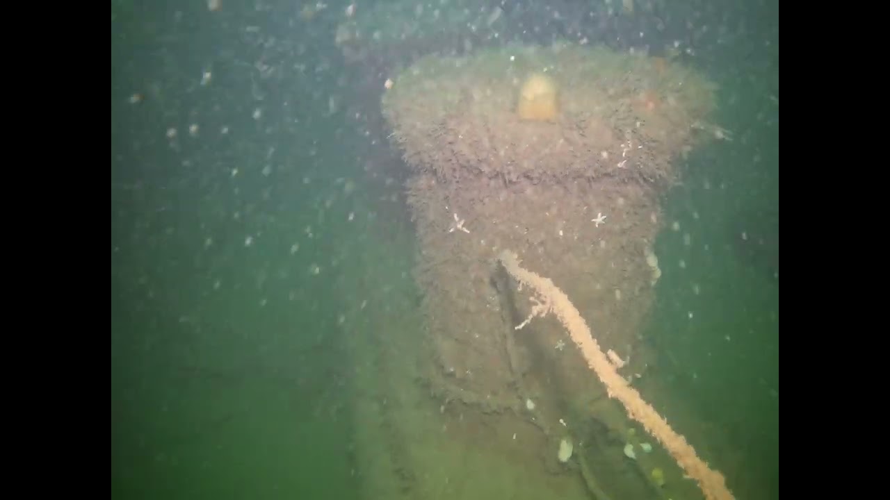 Diving the wreck of the San Tiburcio Tanker 3rd June 2023 with Doug Cowie and Burghead Sub Aqua Club