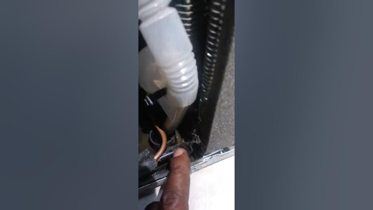 LG Refrigerator not cooling Diagnostic & repair, compressor recently replaced. YouTube