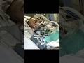 El video más triste de xxx tentación #viral #rap #canciones #2018 #2019 Mp3 Song
