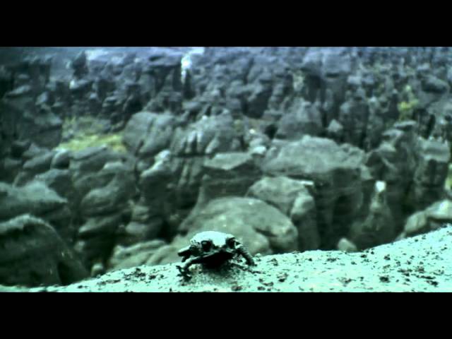 One Life | Trailer
