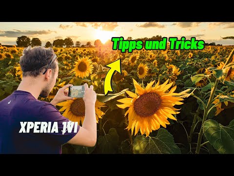 Tolle Fotos machen mit dem Sony Xperia 1 VI