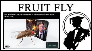 They Put The Fruit Fly Brain In The Torment Nexus