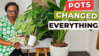 LECHUZA Planters change EVERYTHING: Best selfwatering pots EVER?