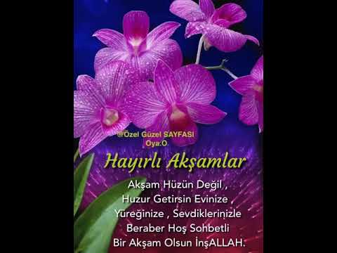 Hayırlı Aksamlar