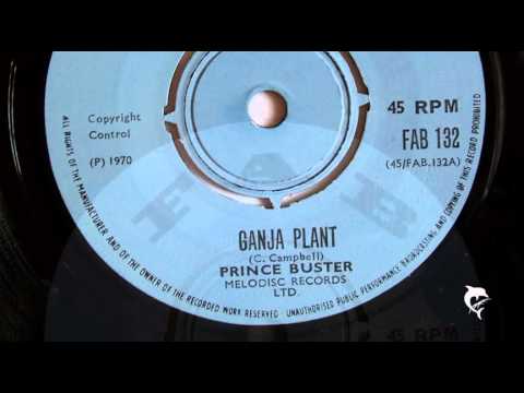 Prince Buster - Ganja Plant (1970) Fab 132 A - YouTube