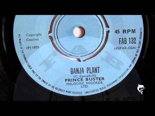 Prince Buster - Ganja Plant