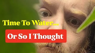 Time To Water... Or So I Thought #gardening 