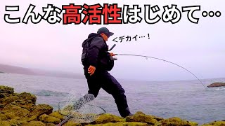 超高活性で良型サクラマス連発！こんな日があるから釣りはやめられない！！