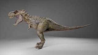 trex 3d model