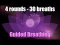 Guided breathing  4 fast rounds with mantra brahmananda swaroopa