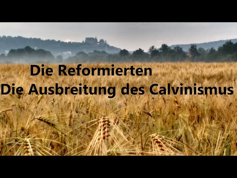 Video: Glauben Presbyterianer an Vorherbestimmung?