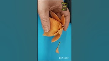 cách tỉa hoa từ củ cà rốt p3 #shorts