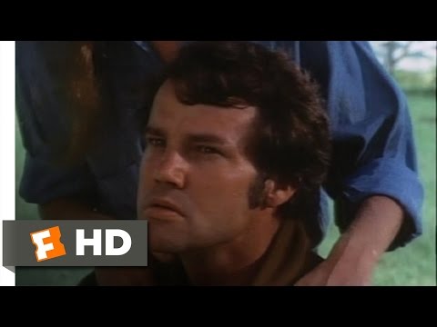 Walking Tall (2/9) Movie CLIP - I Thought You Walked Tall! (1973) HD