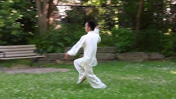 Mantis boxing   六合螳螂拳 藏花 张峻峰(Jacky)