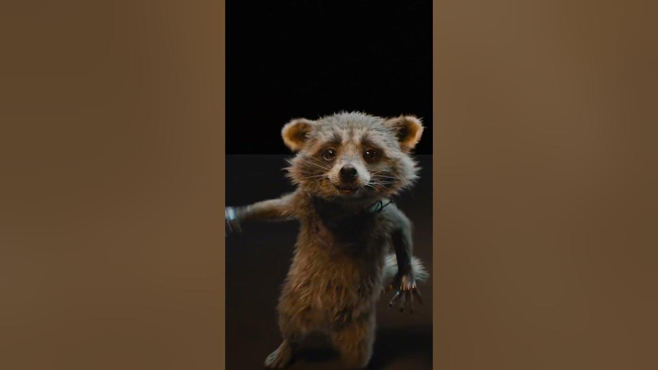 Baby Rocket Raccoon Test Footage Is the Cutest Thing You'll See Today