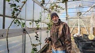 Gardening Tips For Seniors: Learning as We AGE by Deep South Homestead 22,941 views 2 months ago 26 minutes