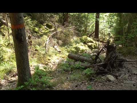 Video 3: Hallsberg