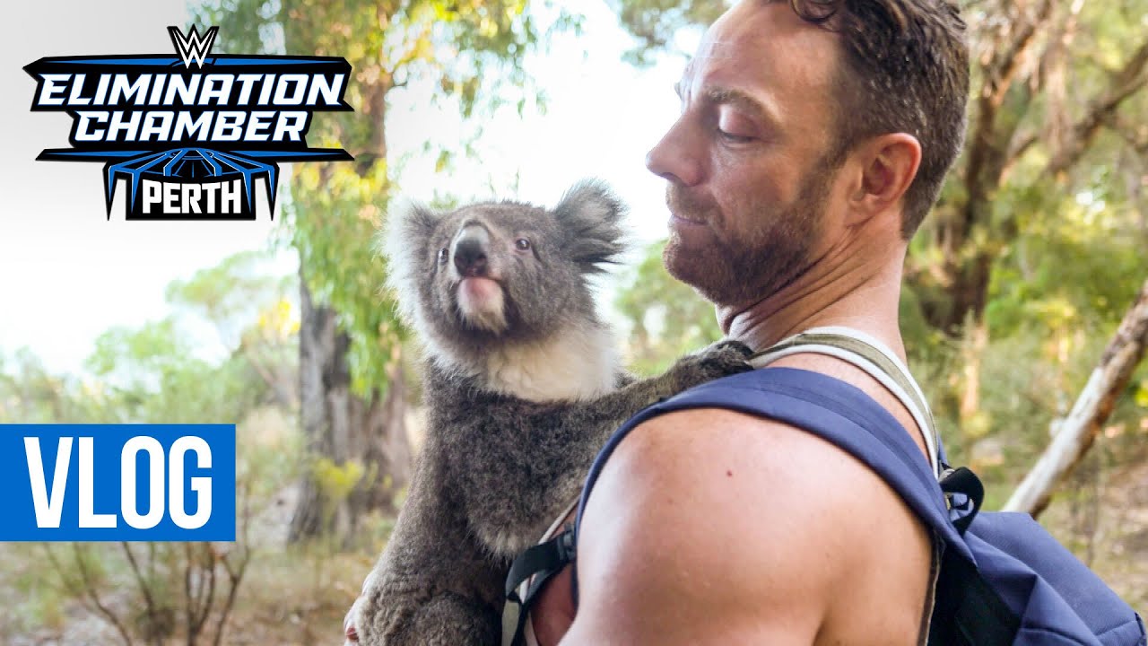 WWE Superstars hug koalas: Elimination Chamber 2024 Vlog