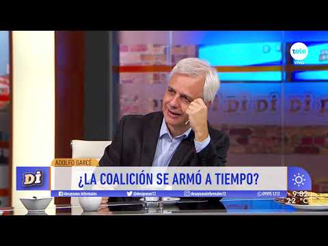 Adolfo Garcé y las elecciones 2019