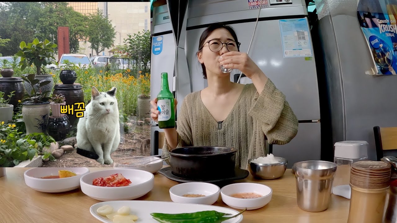 Я пью соджу из внутреннего супа, и кошка в саду пришла играть.