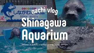 〈 アザ充 〉しながわ水族館にアザラシのに会いに行く〈 水族館巡り 〉