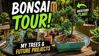 My Bonsai Collection Tour | Current Trees & Future Projects