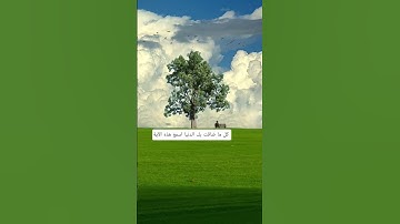 يدبر الامر من السماء الى الارض ❤️ | ماهر المعيقلي  كل ما ضاقت بك الدنيا اسمع الآيه سورة السجدة