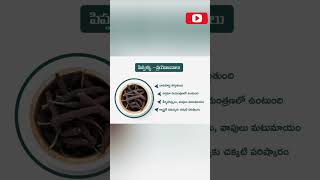 పిప్పల్ల ప్రయోజనాలు పిప్పల్ల ప్రయోజనాలు teluguhealthtips healthtipstelugu ayurvedichomeremedies