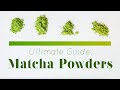 The Best, Affordable Matcha Powders | Matcha 101